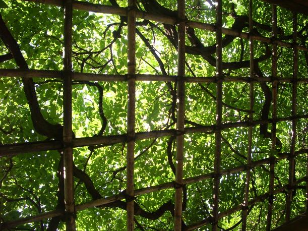 My beautiful picture