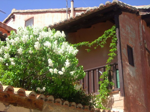 My beautiful picture