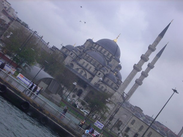 My beautiful picture