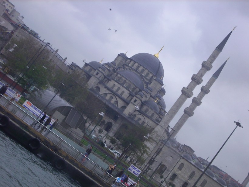 My beautiful picture