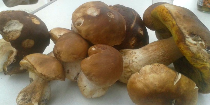 IMG-20151003-WA0003_b