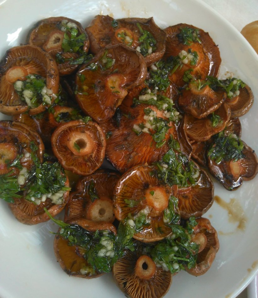 IMG_20151011_145544_b